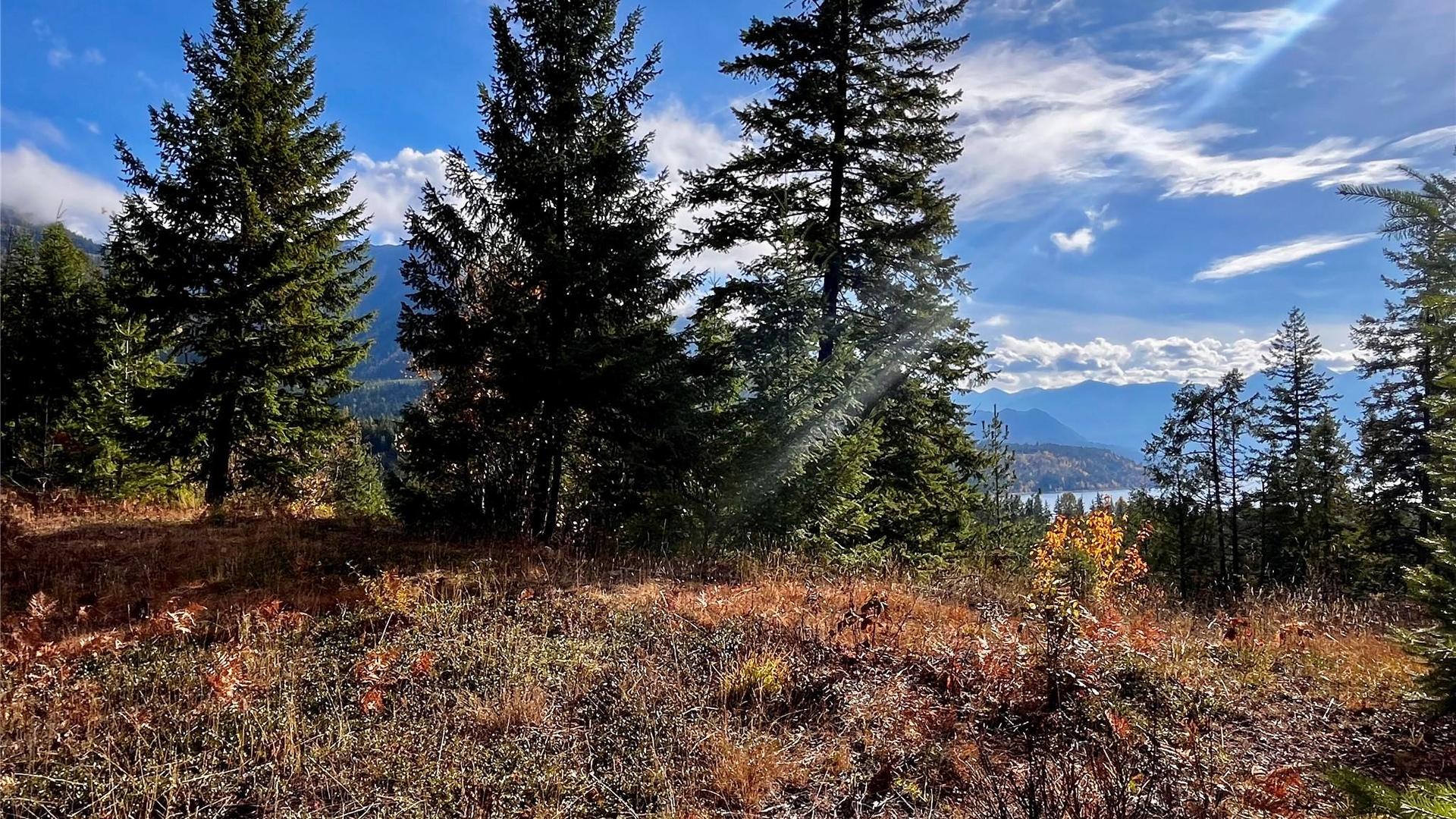 









235


Fullmoon

Road,
Rosebery,







BC
V0G 1S1

