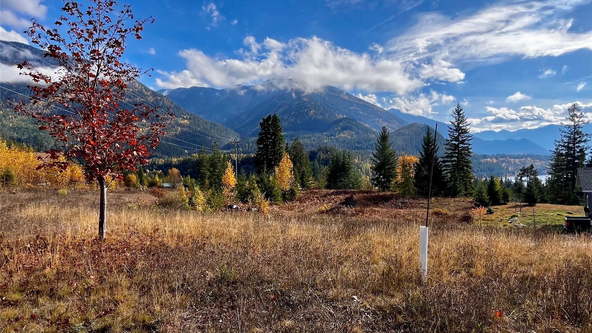 









235


Fullmoon

Road,
Rosebery,







BC
V0G 1S1

