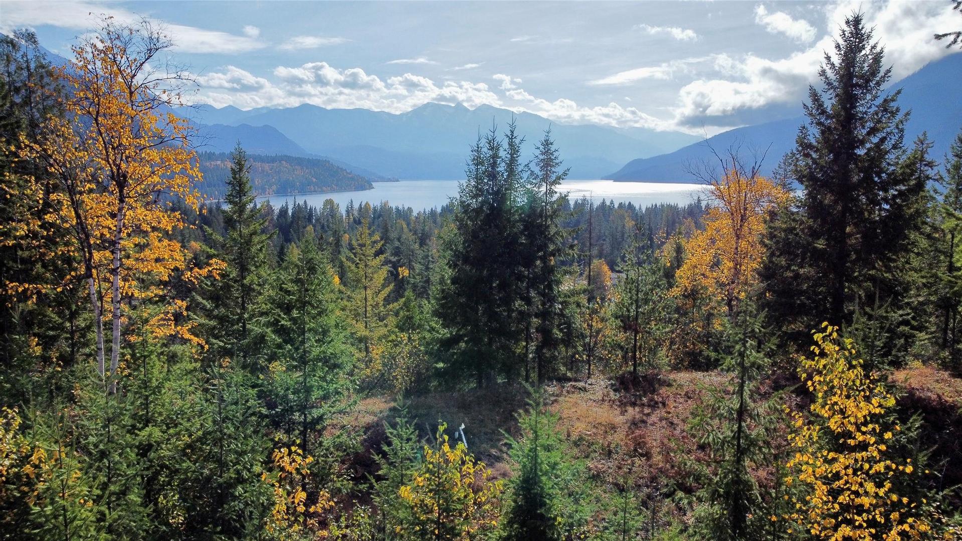









235


Fullmoon

Road,
Rosebery,







BC
V0G 1S1

