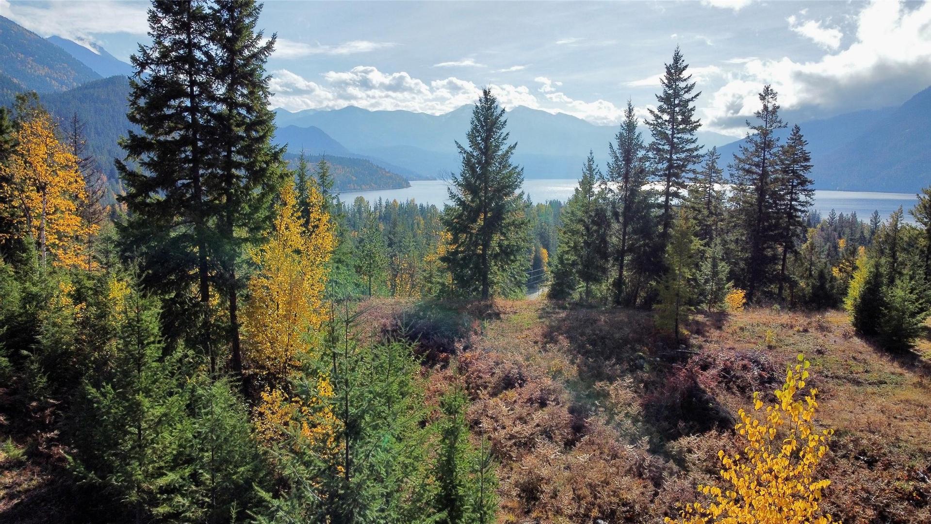 









235


Fullmoon

Road,
Rosebery,







BC
V0G 1S1

