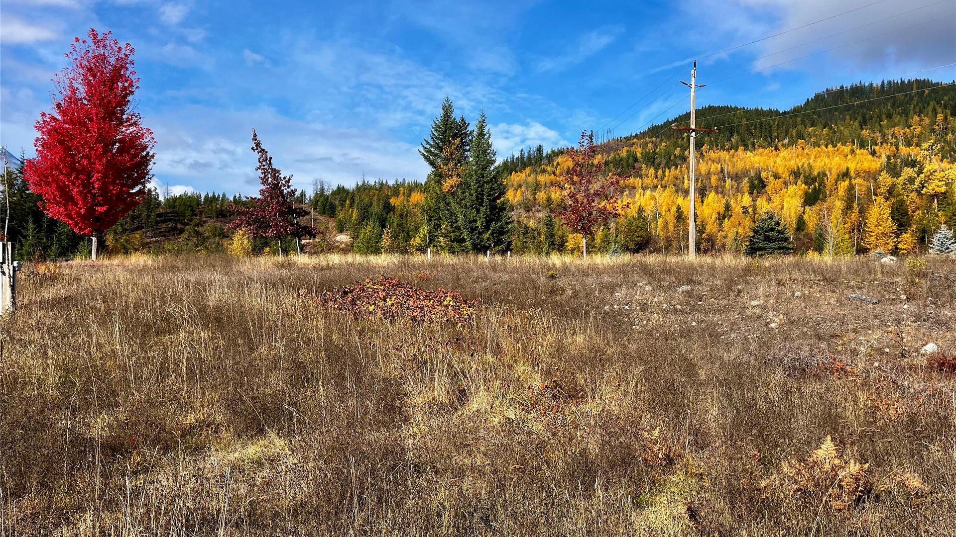 









235


Fullmoon

Road,
Rosebery,







BC
V0G 1S1

