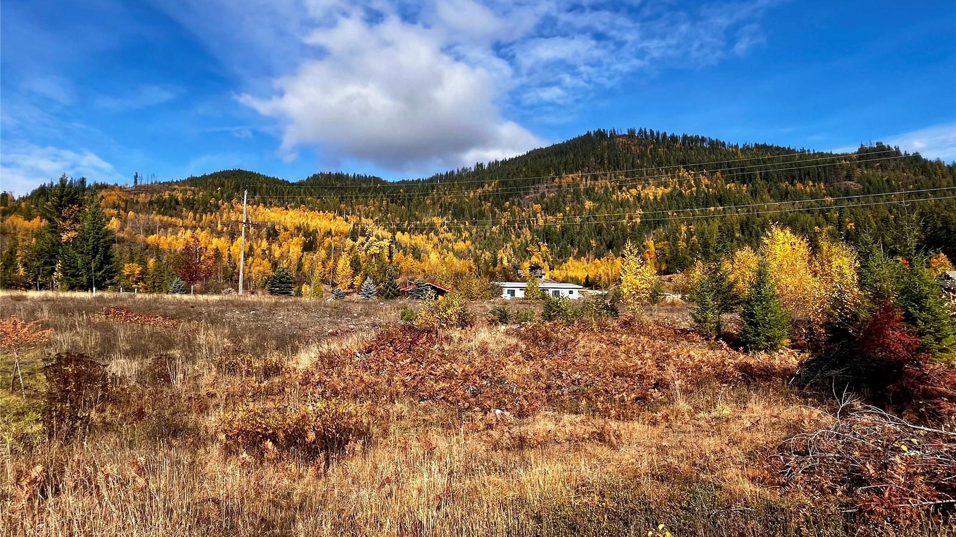 









235


Fullmoon

Road,
Rosebery,







BC
V0G 1S1

