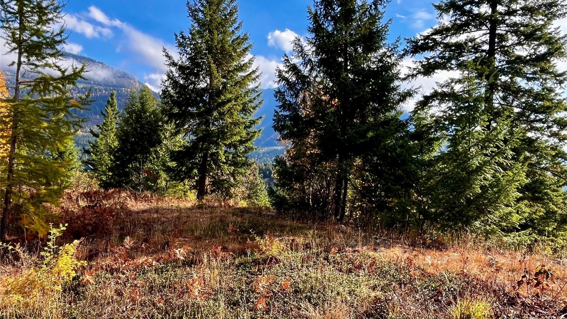 









235


Fullmoon

Road,
Rosebery,







BC
V0G 1S1

