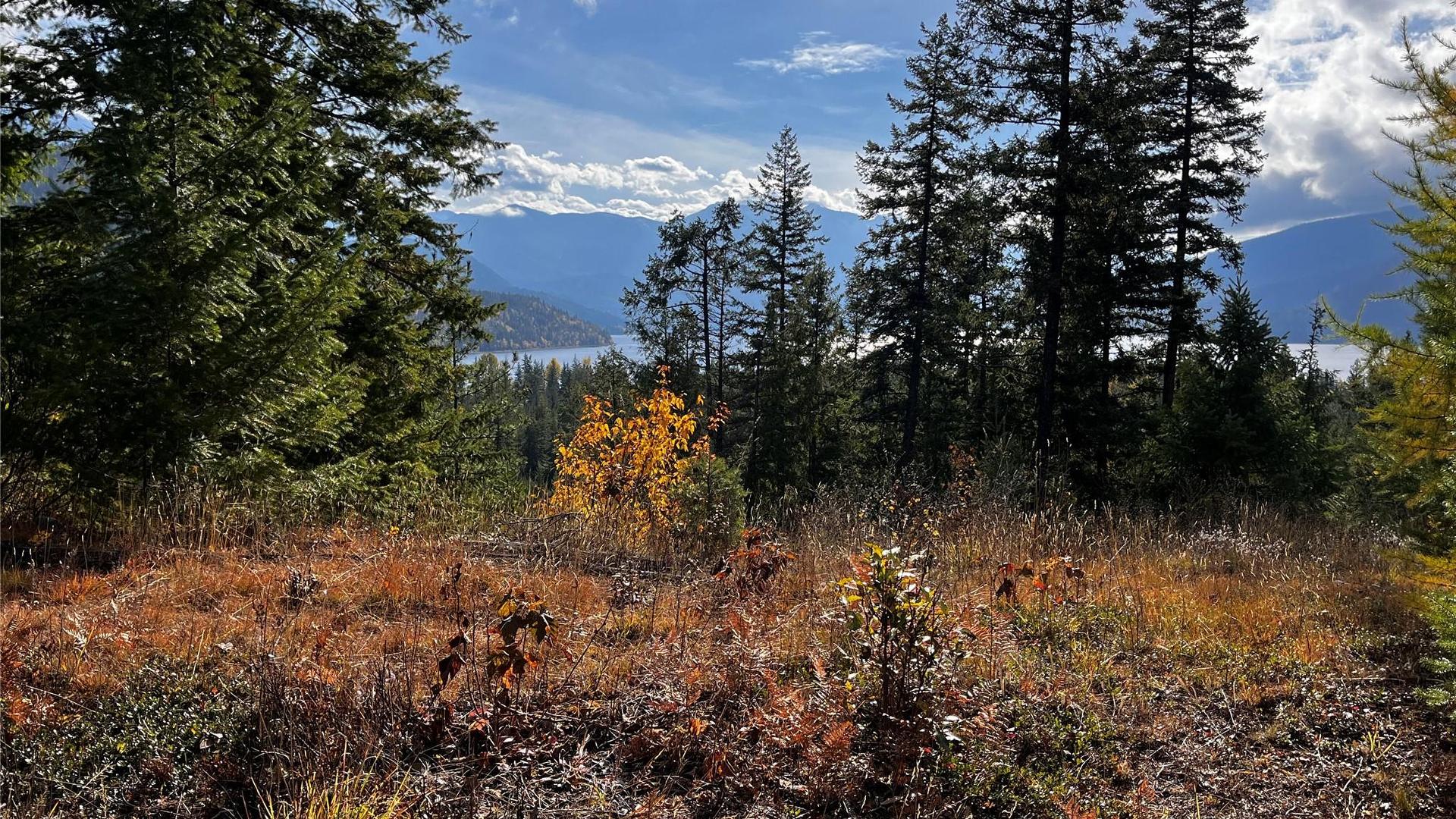 









235


Fullmoon

Road,
Rosebery,







BC
V0G 1S1

