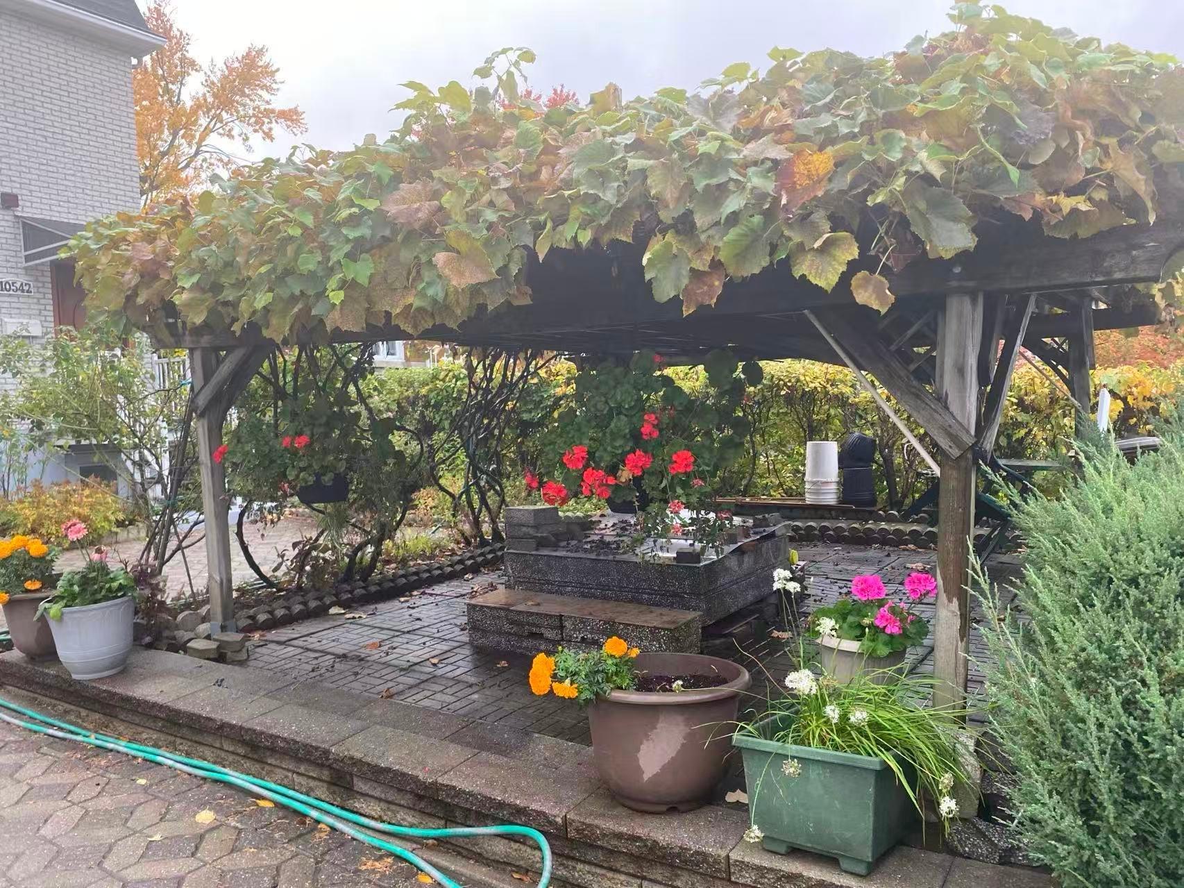 









10540

 - 10542


Av. Papineau

,
Montréal (Ahuntsic-Cartierville),




QC
H2B2A5

