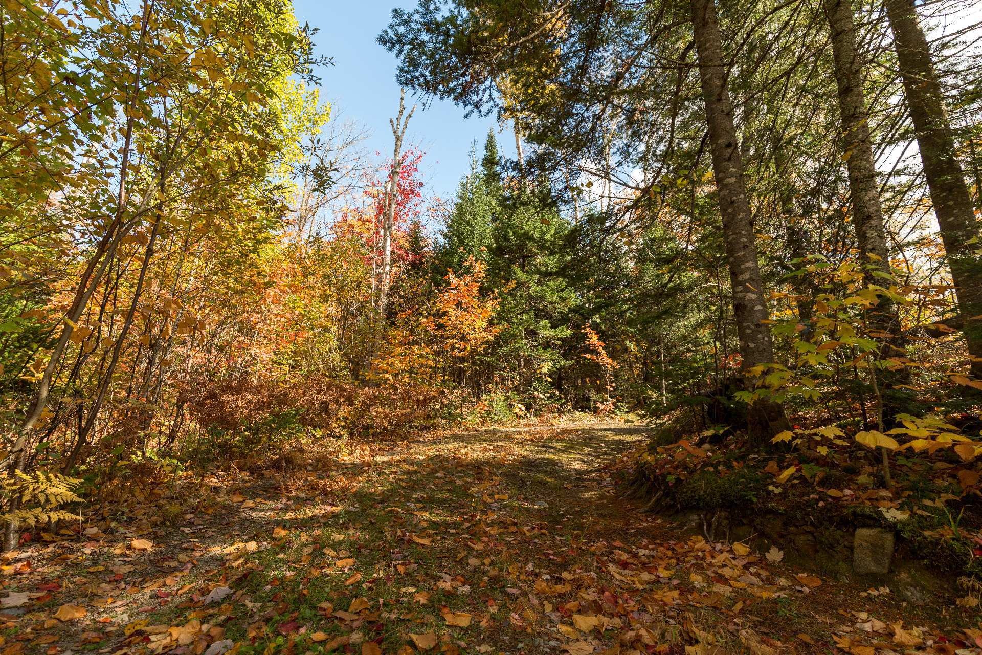 












Ch. Martin-Prévost

,
Sainte-Béatrix,




QC
J0K1Y0

