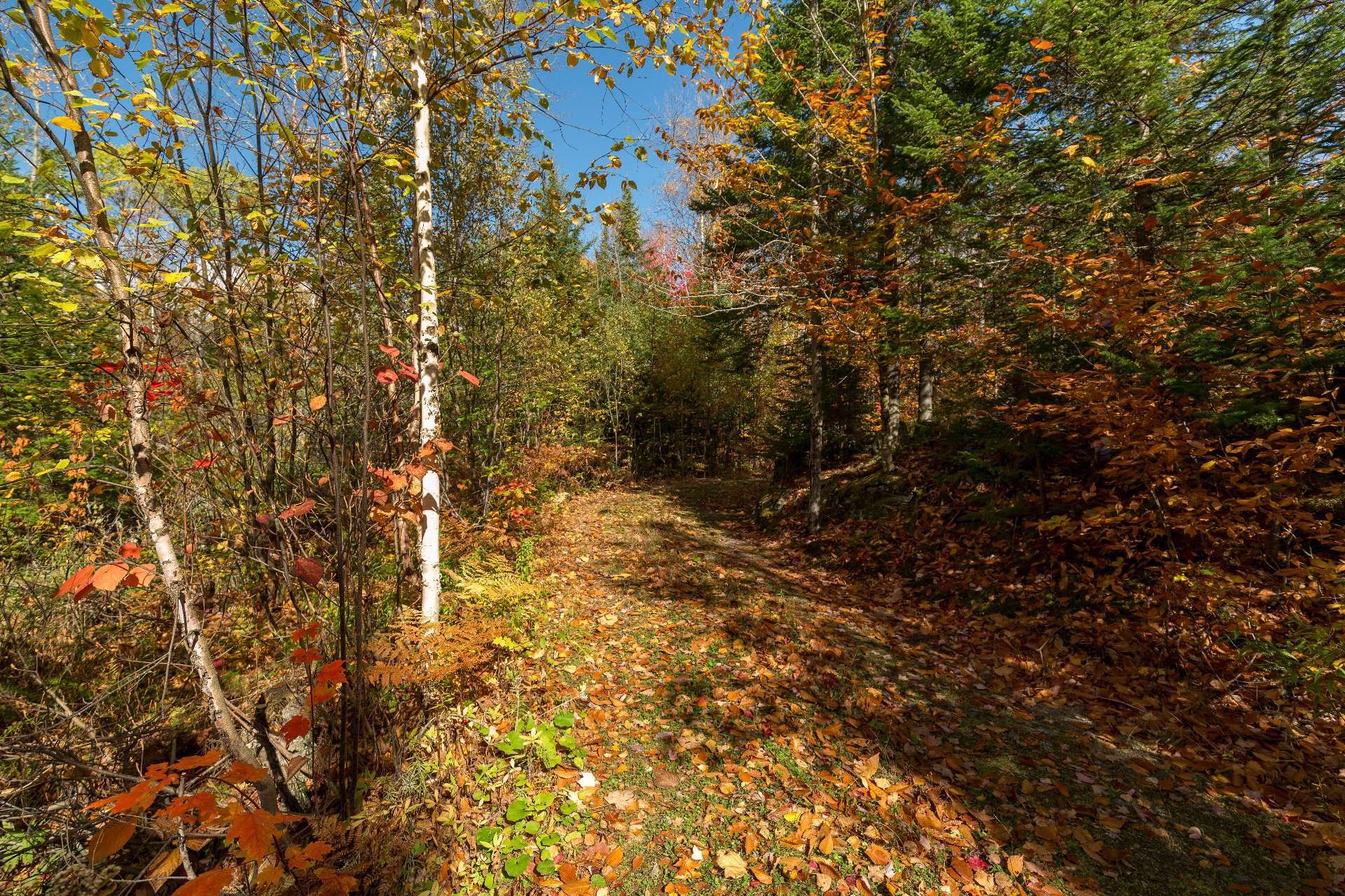 












Ch. Martin-Prévost

,
Sainte-Béatrix,




QC
J0K1Y0

