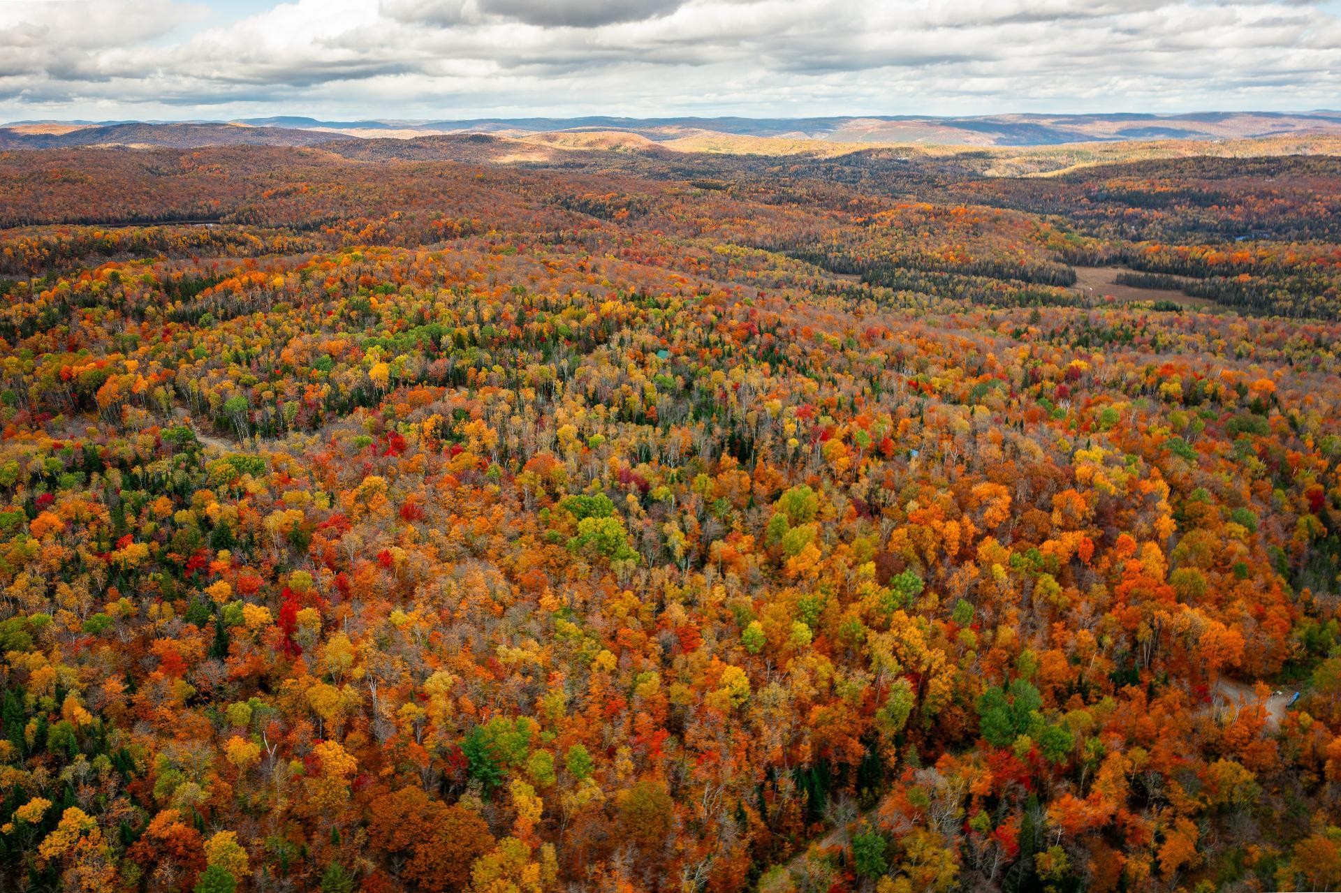 












Ch. Martin-Prévost

,
Sainte-Béatrix,




QC
J0K1Y0

