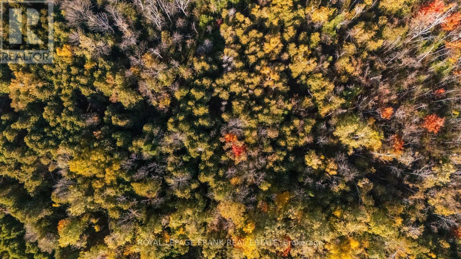 












740 MOUNT HOREB ROAD

,
Kawartha Lakes (Manvers),







Ontario
K0L2X0

