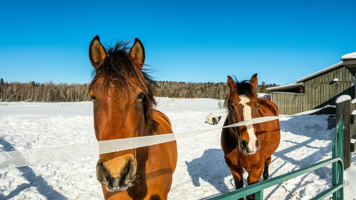 









73


Route 255

,
Kingsey Falls,







QC
J0A1B0

