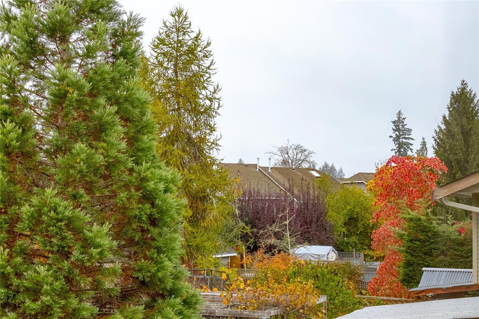 









5996


Rockridge

Rd,
Duncan,




BC
V9L 6X3

