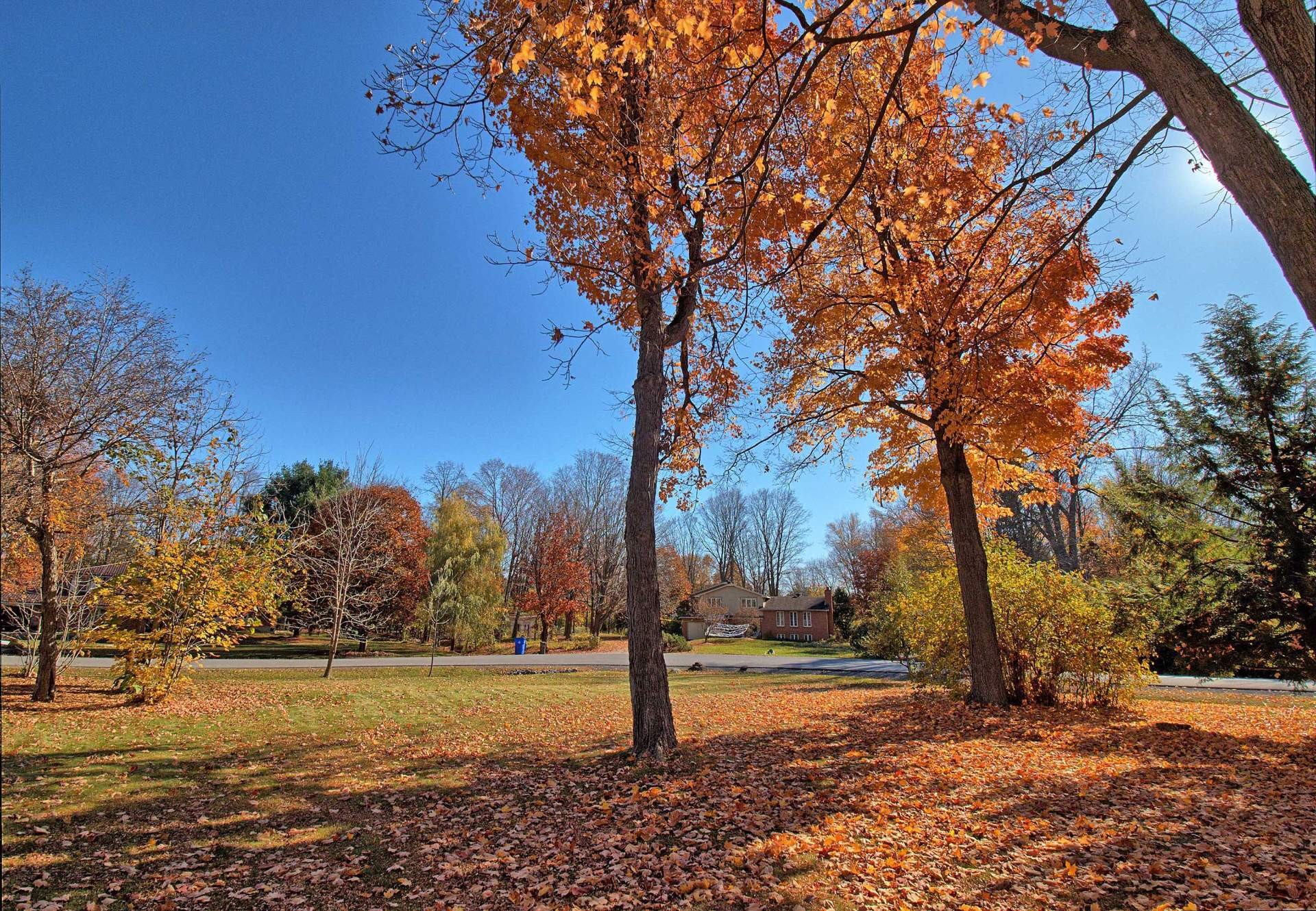 









28


Rue de Port-Royal

,
Gatineau (Aylmer),




QC
J9J1C8

