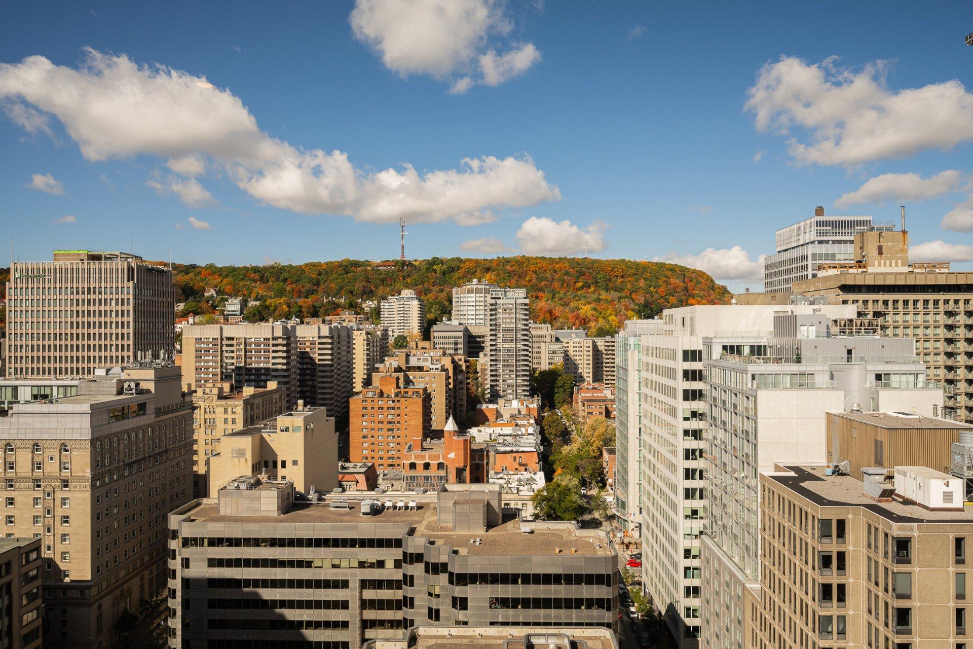 









1200


Boul. De Maisonneuve O.

, 24D,
Montréal (Ville-Marie),




QC
H3A0A1

