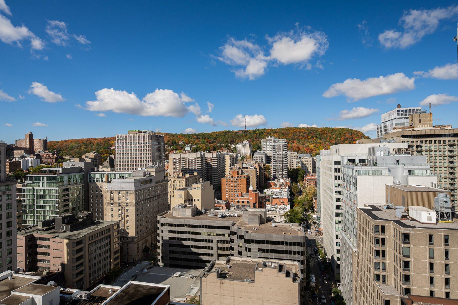 









1200


Boul. De Maisonneuve O.

, 24D,
Montréal (Ville-Marie),




QC
H3A0A1

