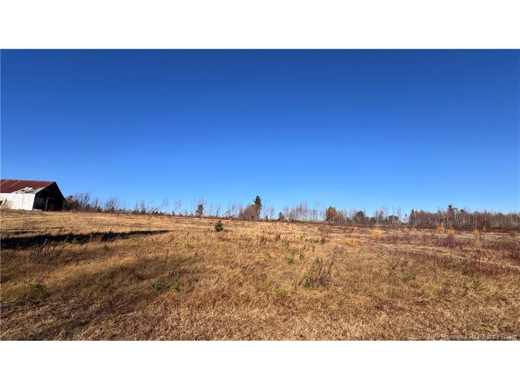 









14


Branche Du Nord

,
Acadieville,




NB
E4Y 1M5

