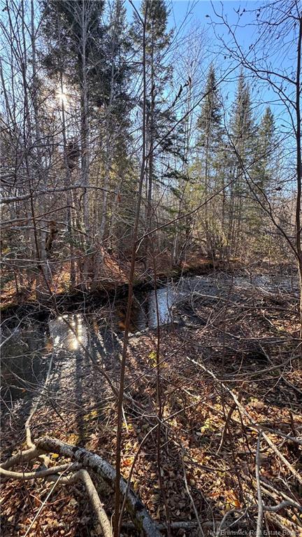 









14


Branche Du Nord

,
Acadieville,




NB
E4Y 1M5

