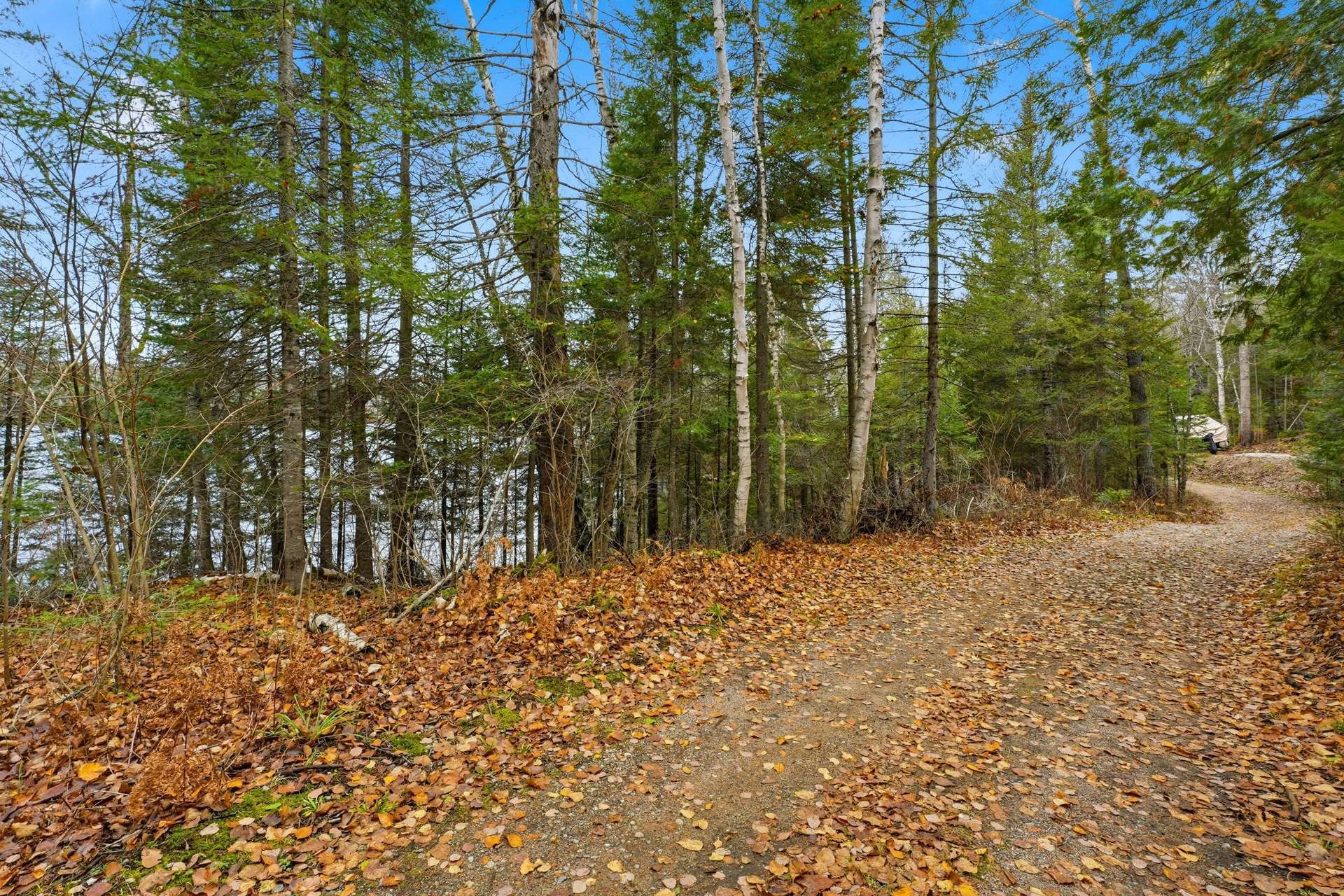 









247


Ch. du Lac-à-Larche

,
Cayamant,







QC
J0X1Y0

