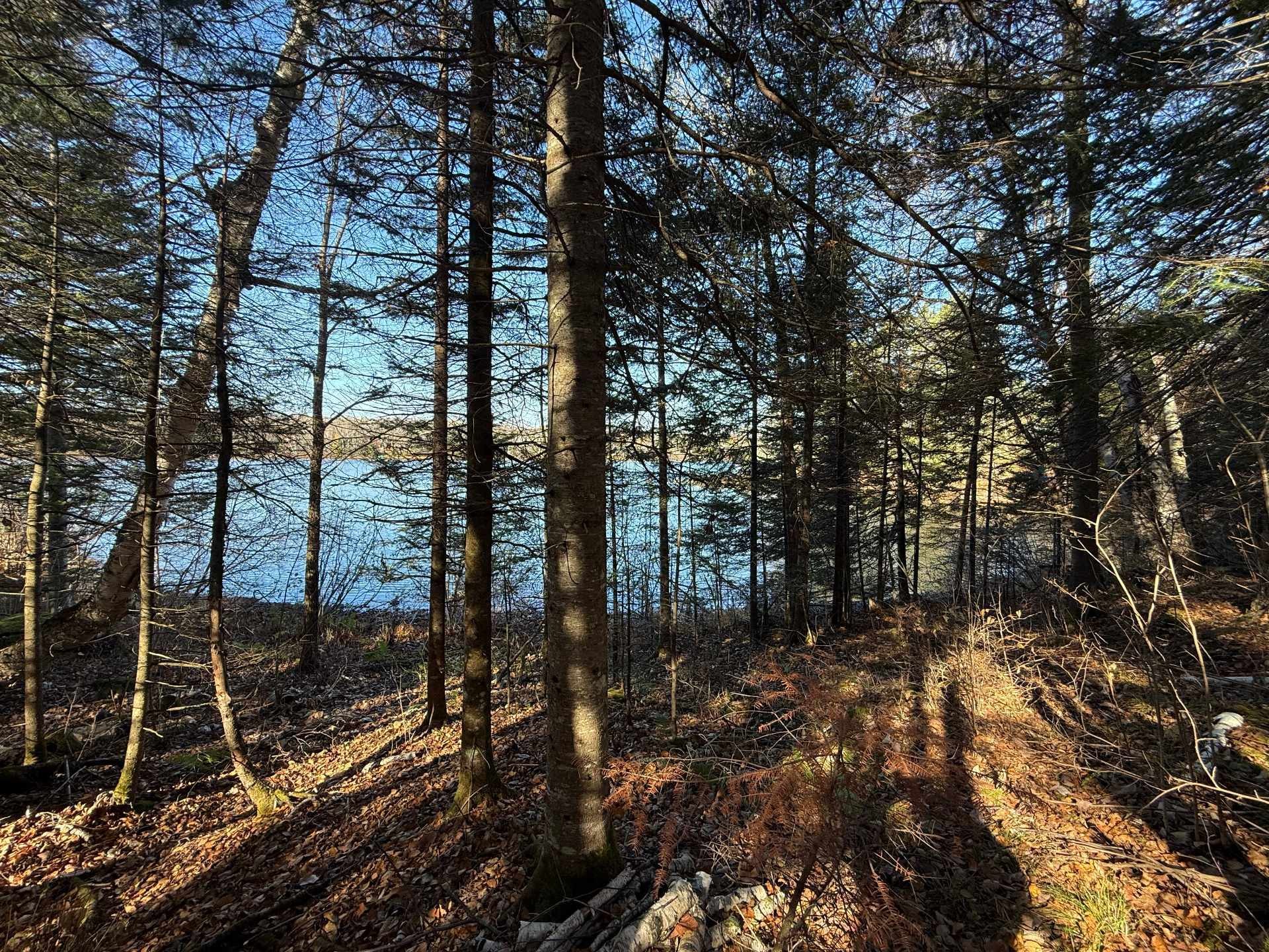 









247


Ch. du Lac-à-Larche

,
Cayamant,







QC
J0X1Y0

