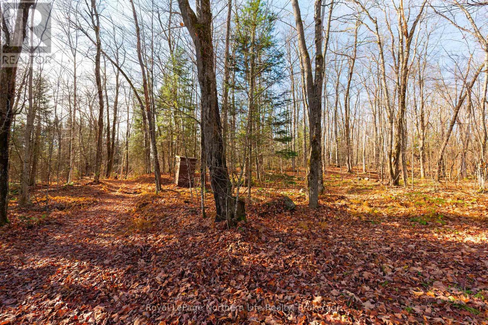 












566 DEER LAKE ROAD

,
Parry Sound Remote Area (Lount),




Ontario
P0A1X0

