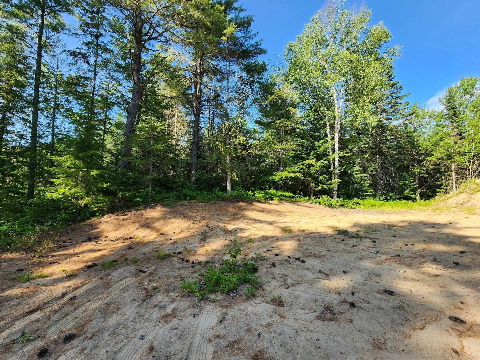 












Route 155 S.

,
La Tuque,







QC
G9X3N8

