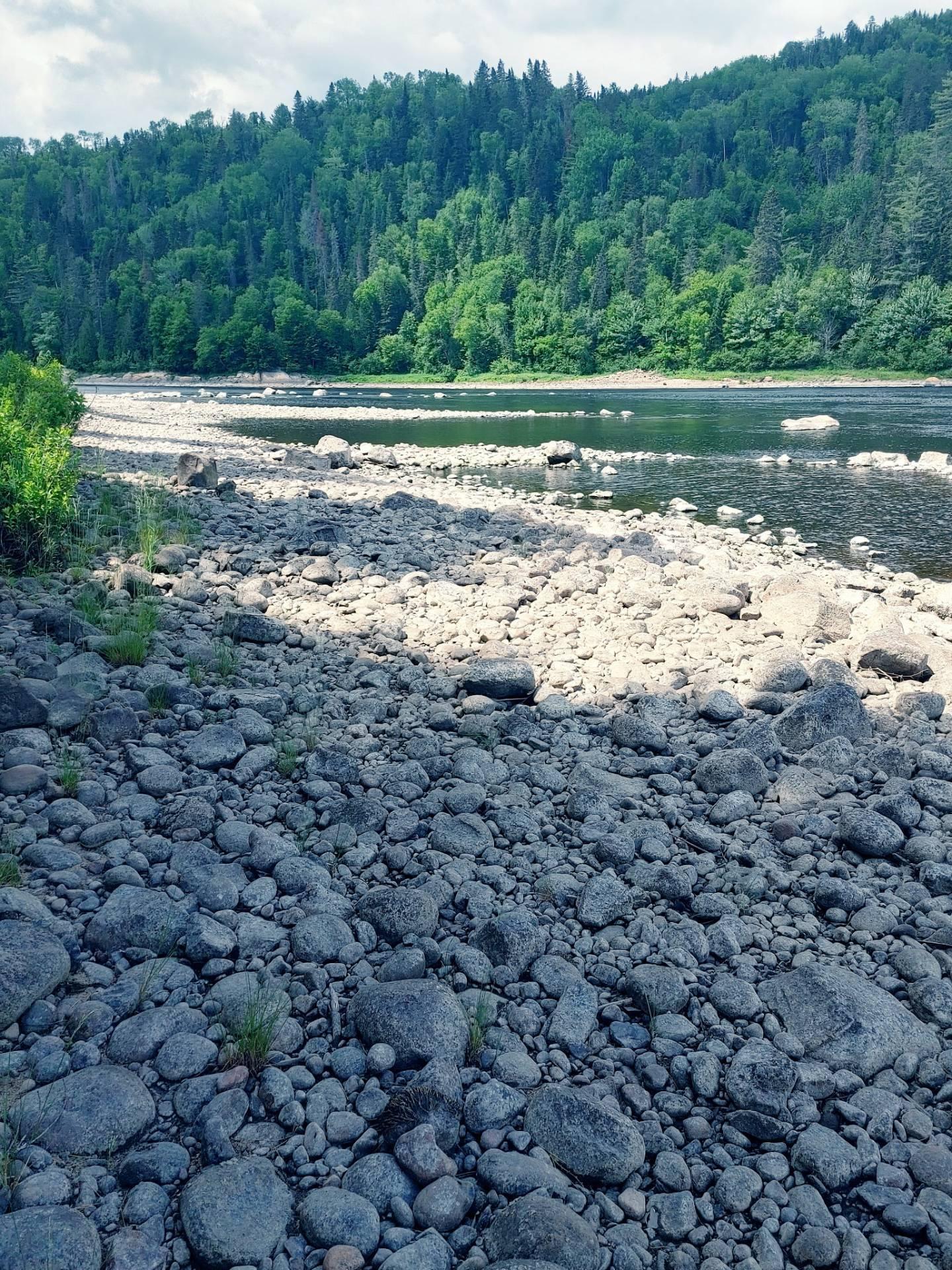 












Route 155 S.

,
La Tuque,







QC
G9X3N8

