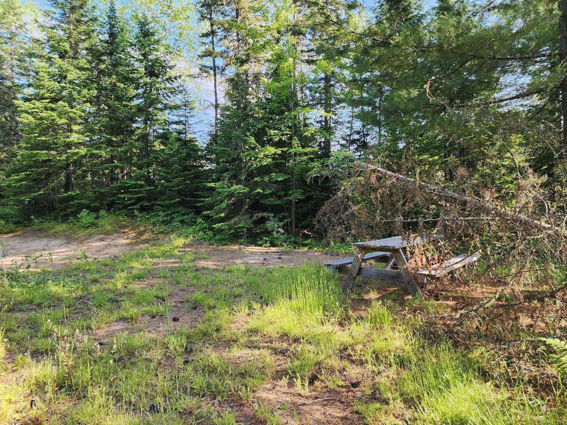 












Route 155 S.

,
La Tuque,







QC
G9X3N8

