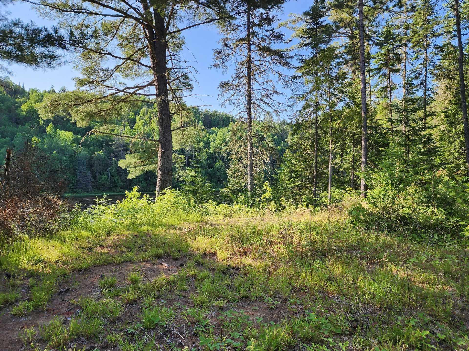 












Route 155 S.

,
La Tuque,







QC
G9X3N8

