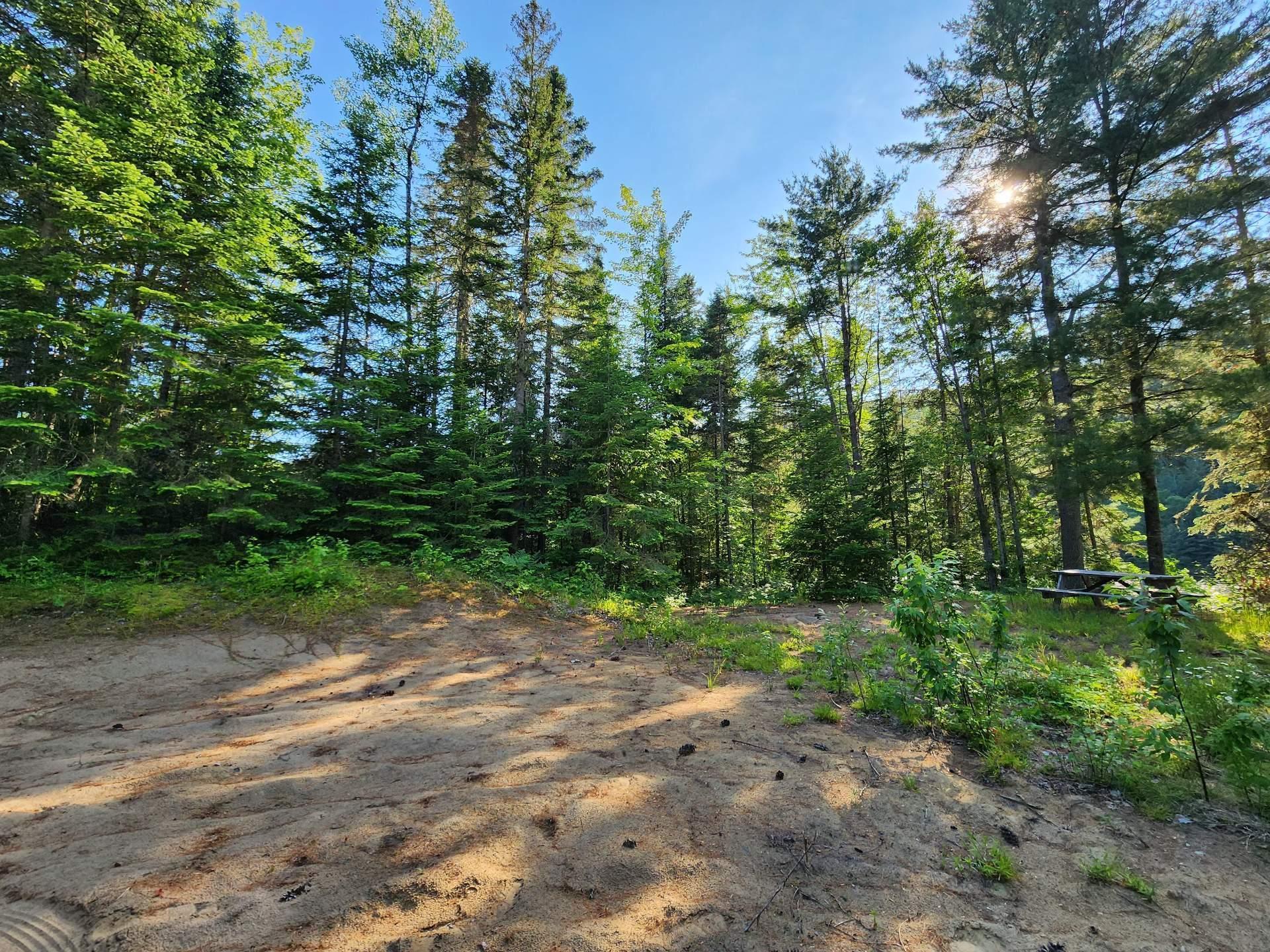 












Route 155 S.

,
La Tuque,







QC
G9X3N8

