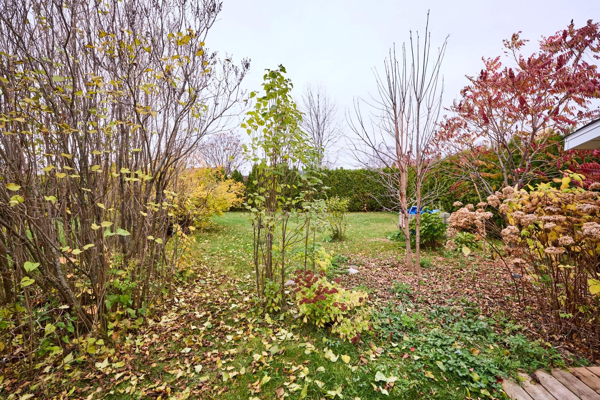 









201


Rue Pétrus-Désilets

,
Nicolet,




QC
J3T1A3

