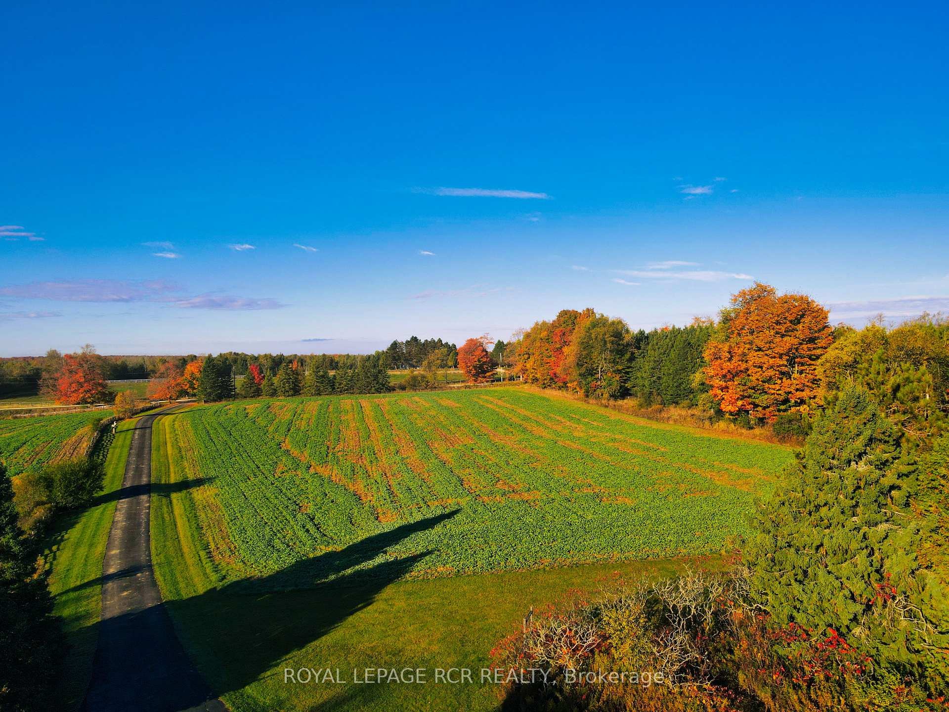 









674189


Hurontario

Street,
Mono,







ON
L9W 5R9

