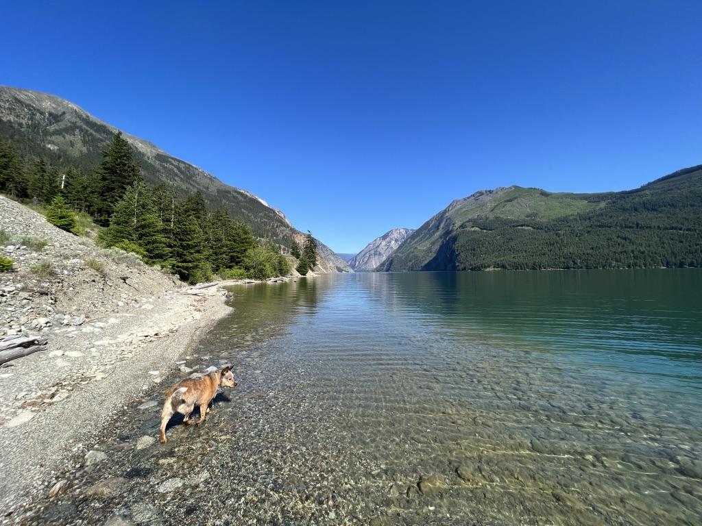 









DL 3221


SETON  S

Lake,
Lillooet,







BC
V0K 1V0

