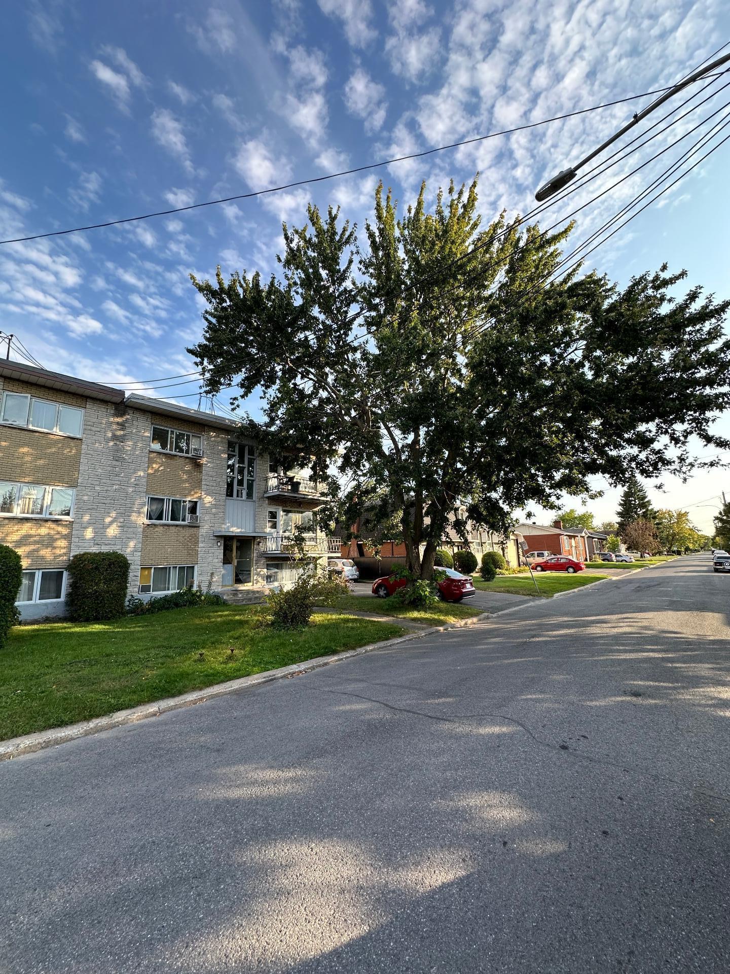 









3203

 - 3207


Rue Adélaïde

,
Longueuil (Saint-Hubert),




QC
J3Y4W5

