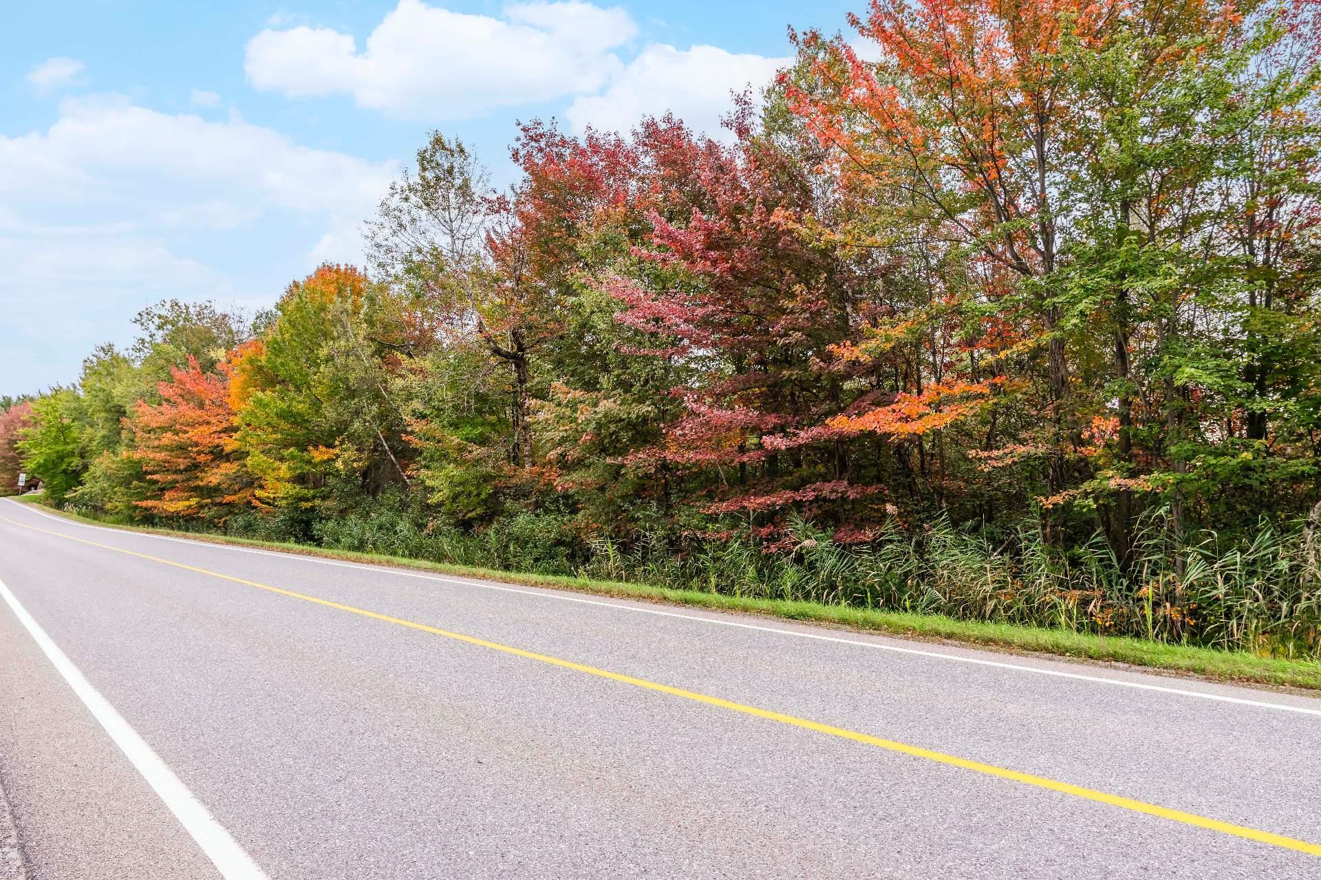 












11e Rang

, 21,
Granby,







QC
J2H2N8

