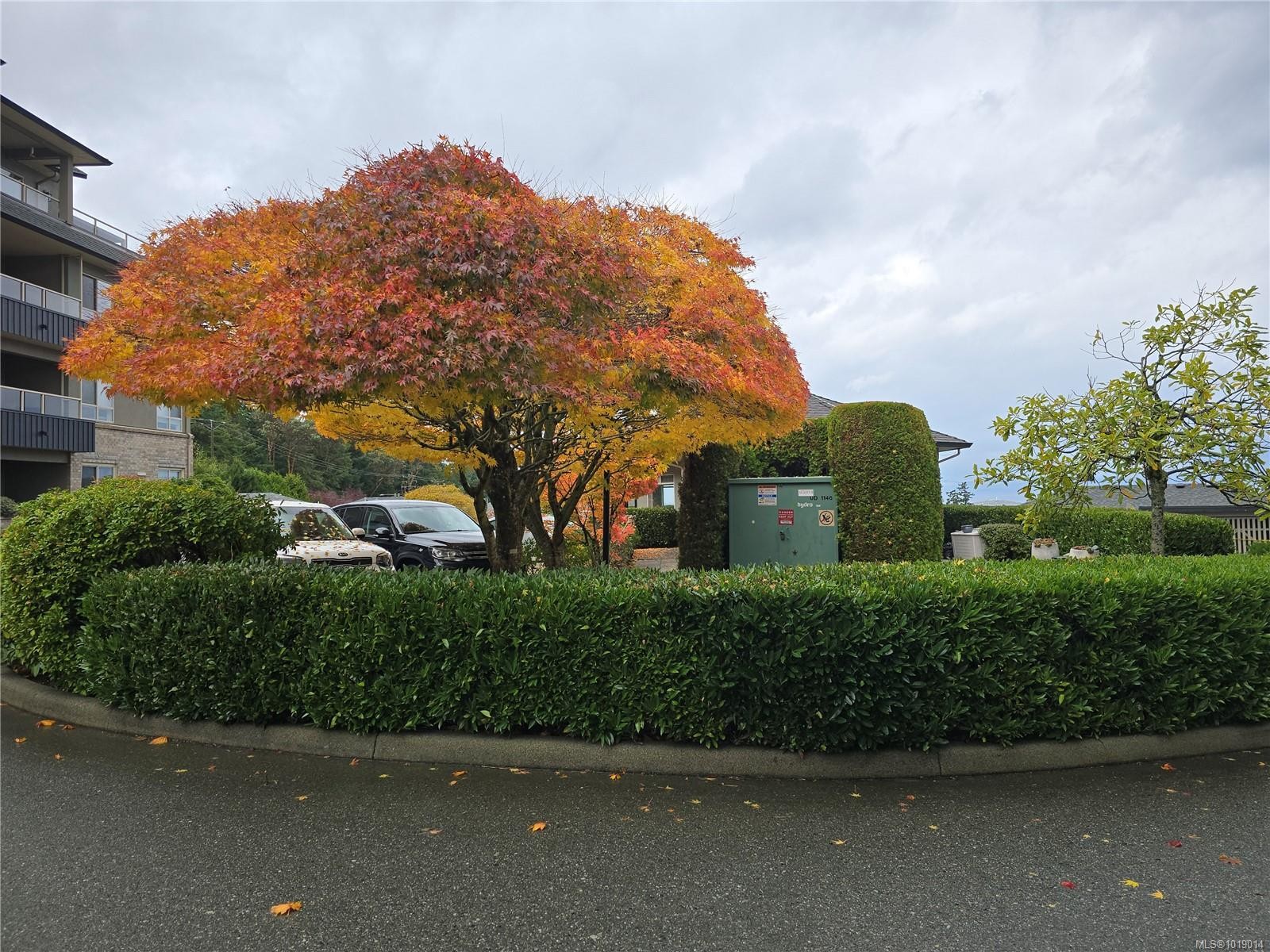 









6728


Dickinson

Rd, 404,
Nanaimo,




BC
V9V 1T3

