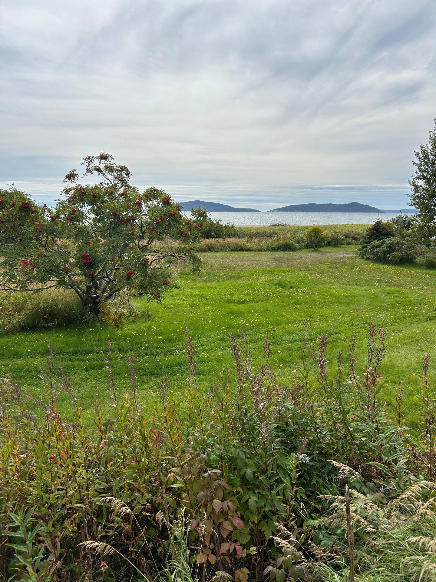 









1199


Rue de la Rive

,
Sept-Îles,




QC
G4R4K2

