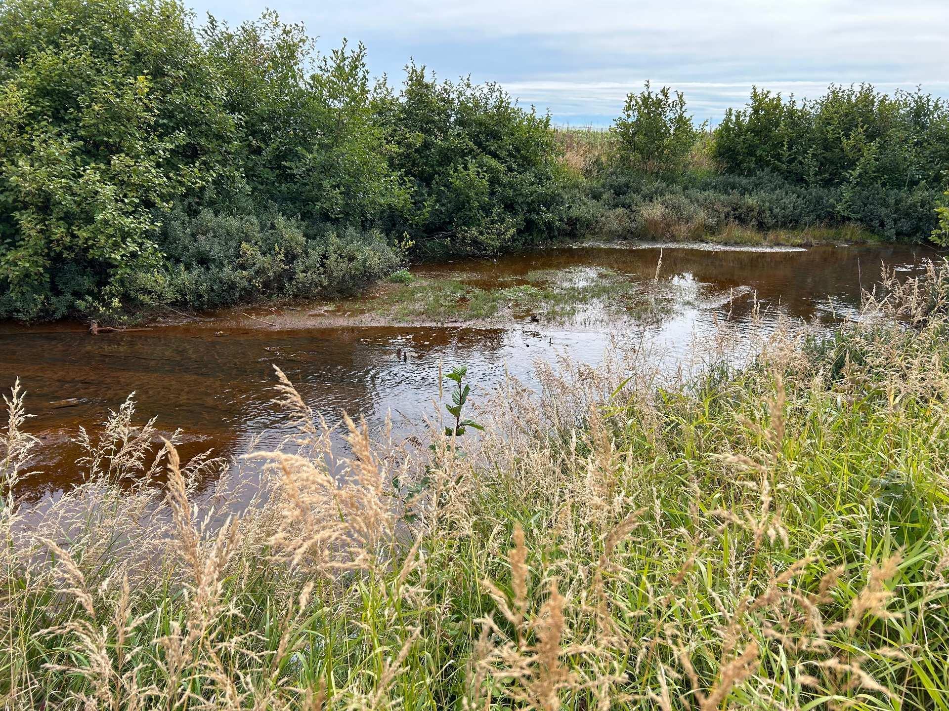 









1199


Rue de la Rive

,
Sept-Îles,




QC
G4R4K2

