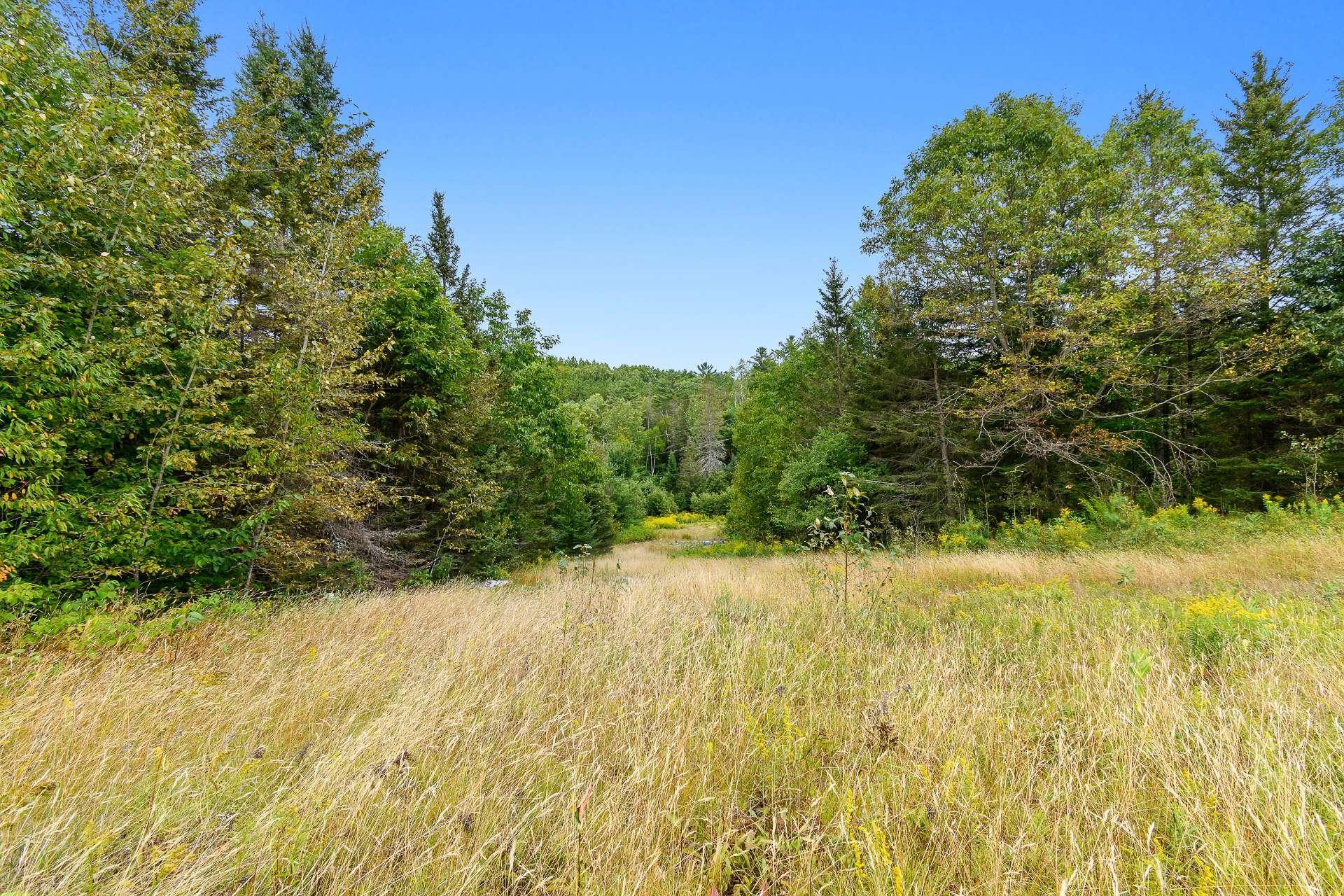 









211


Ch. Stephens

,
Otter Lake,




QC
J0X2P0

