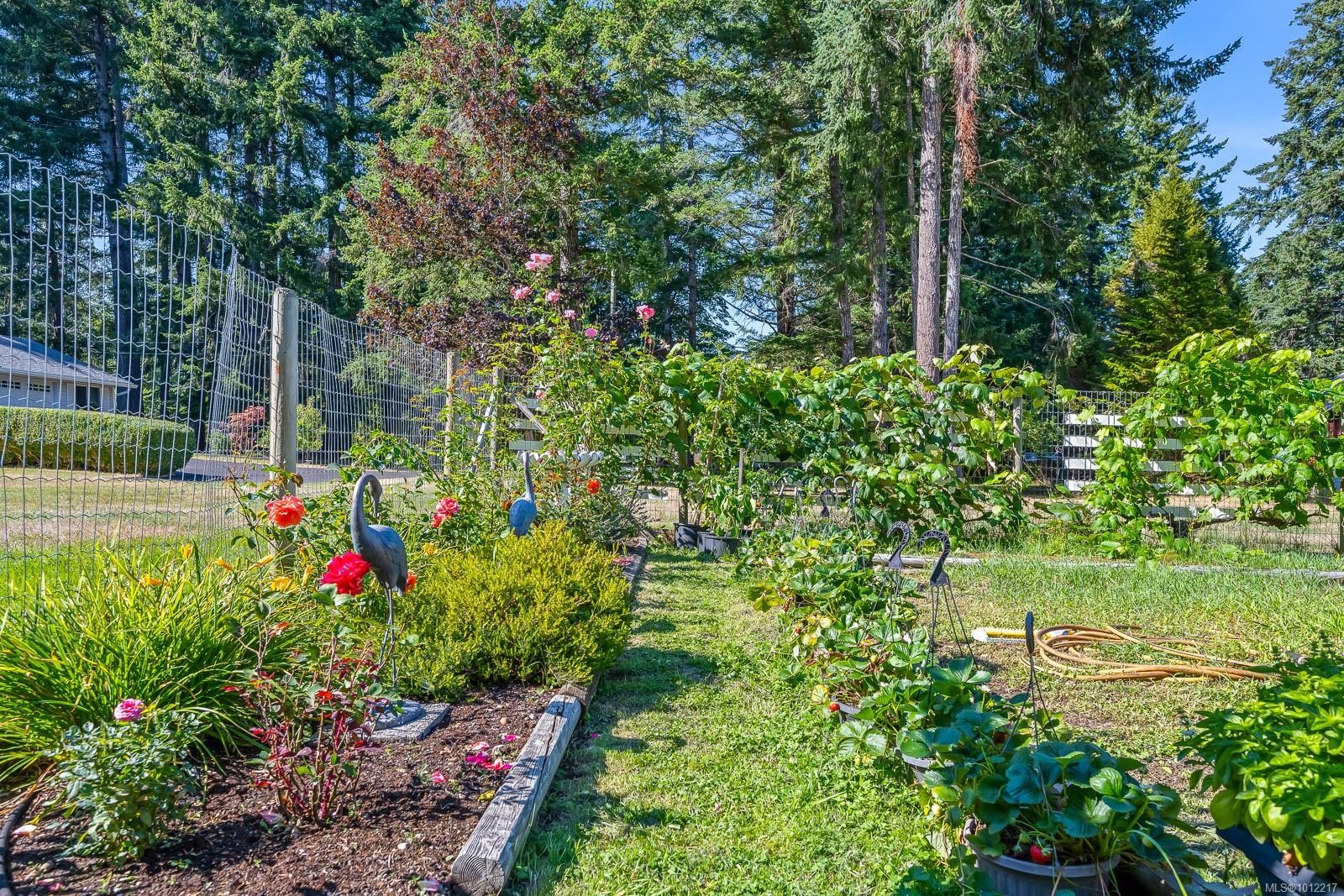 









1927


Wilson

Rd,
Courtenay,




BC
V9J 1V6

