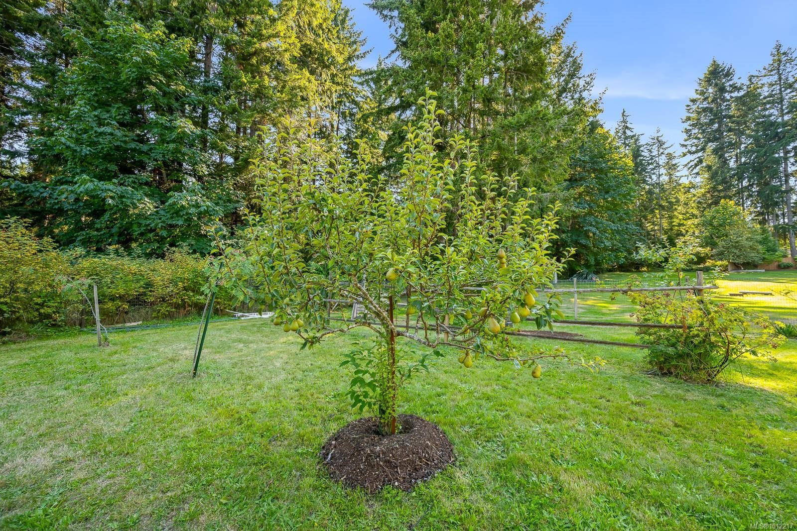 









1927


Wilson

Rd,
Courtenay,




BC
V9J 1V6

