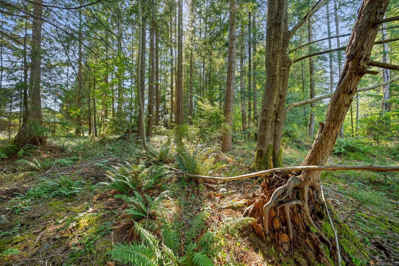 









1927


Wilson

Rd,
Courtenay,




BC
V9J 1V6

