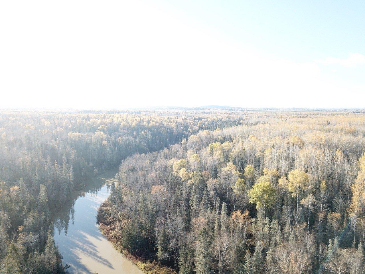 












Route 101 N.

,
Saint-Bruno-de-Guigues,







QC
J0Z2G0

