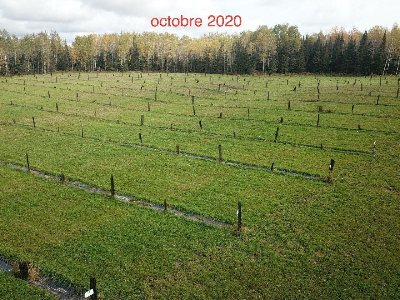 












Route 101 N.

,
Saint-Bruno-de-Guigues,







QC
J0Z2G0


