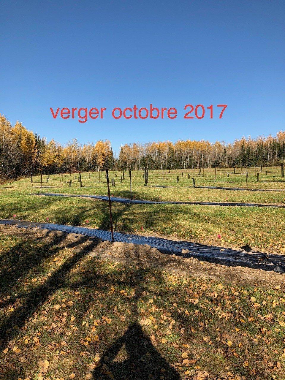 












Route 101 N.

,
Saint-Bruno-de-Guigues,







QC
J0Z2G0

