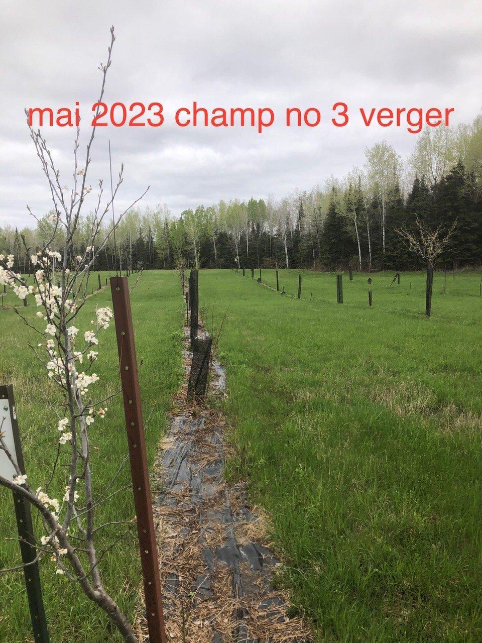 












Route 101 N.

,
Saint-Bruno-de-Guigues,







QC
J0Z2G0

