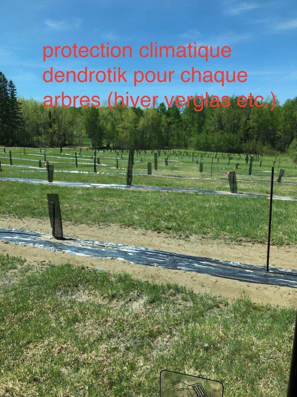 












Route 101 N.

,
Saint-Bruno-de-Guigues,







QC
J0Z2G0

