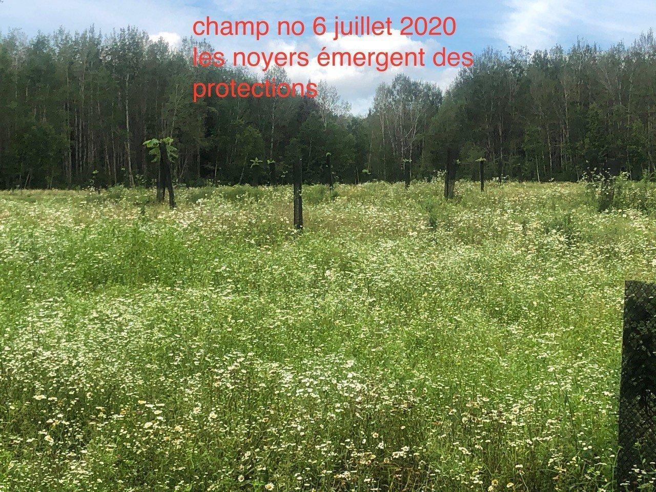 












Route 101 N.

,
Saint-Bruno-de-Guigues,







QC
J0Z2G0

