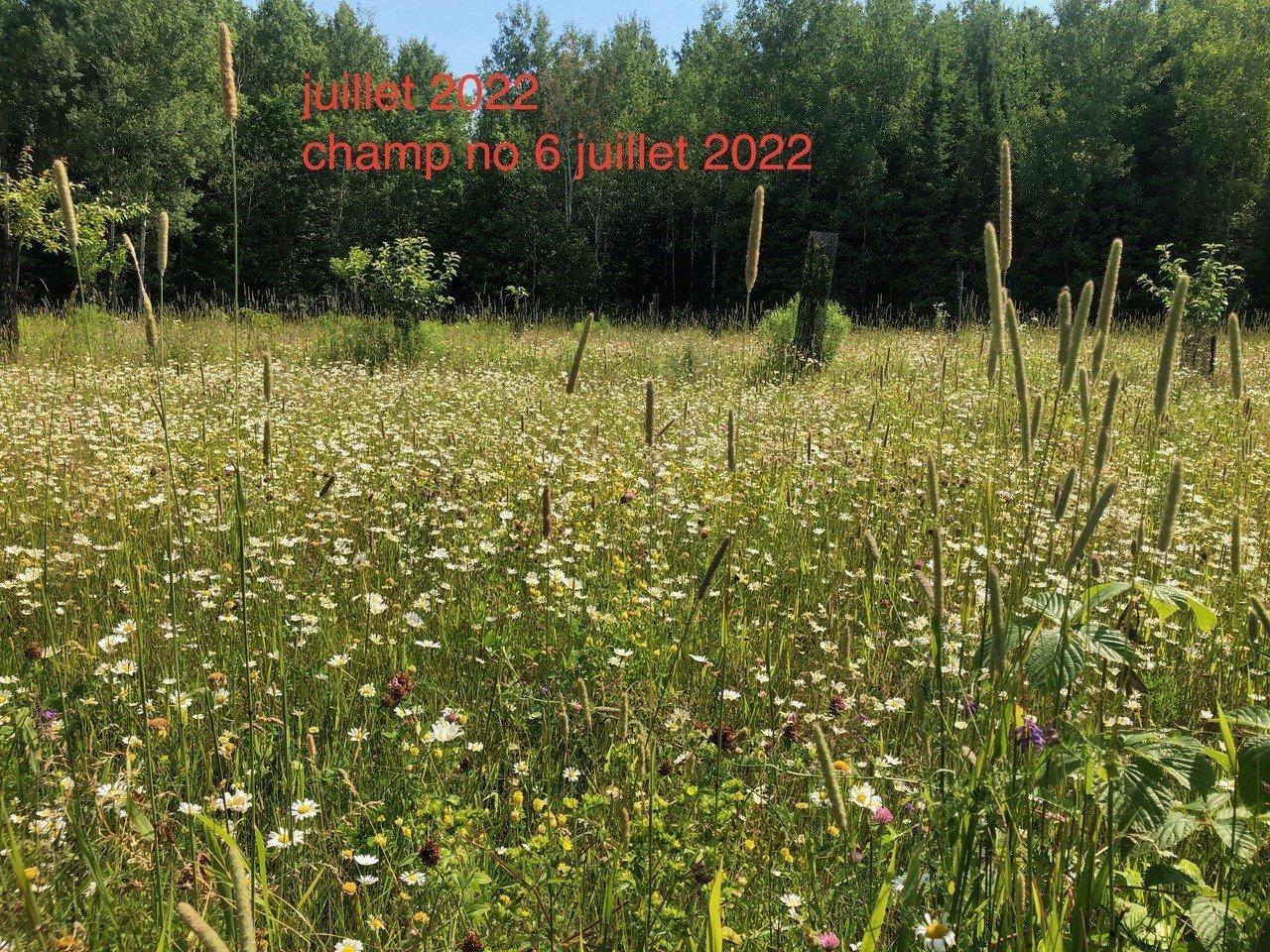 












Route 101 N.

,
Saint-Bruno-de-Guigues,







QC
J0Z2G0

