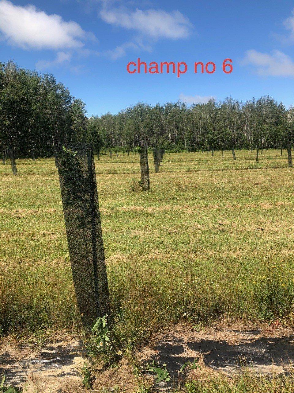 












Route 101 N.

,
Saint-Bruno-de-Guigues,







QC
J0Z2G0

