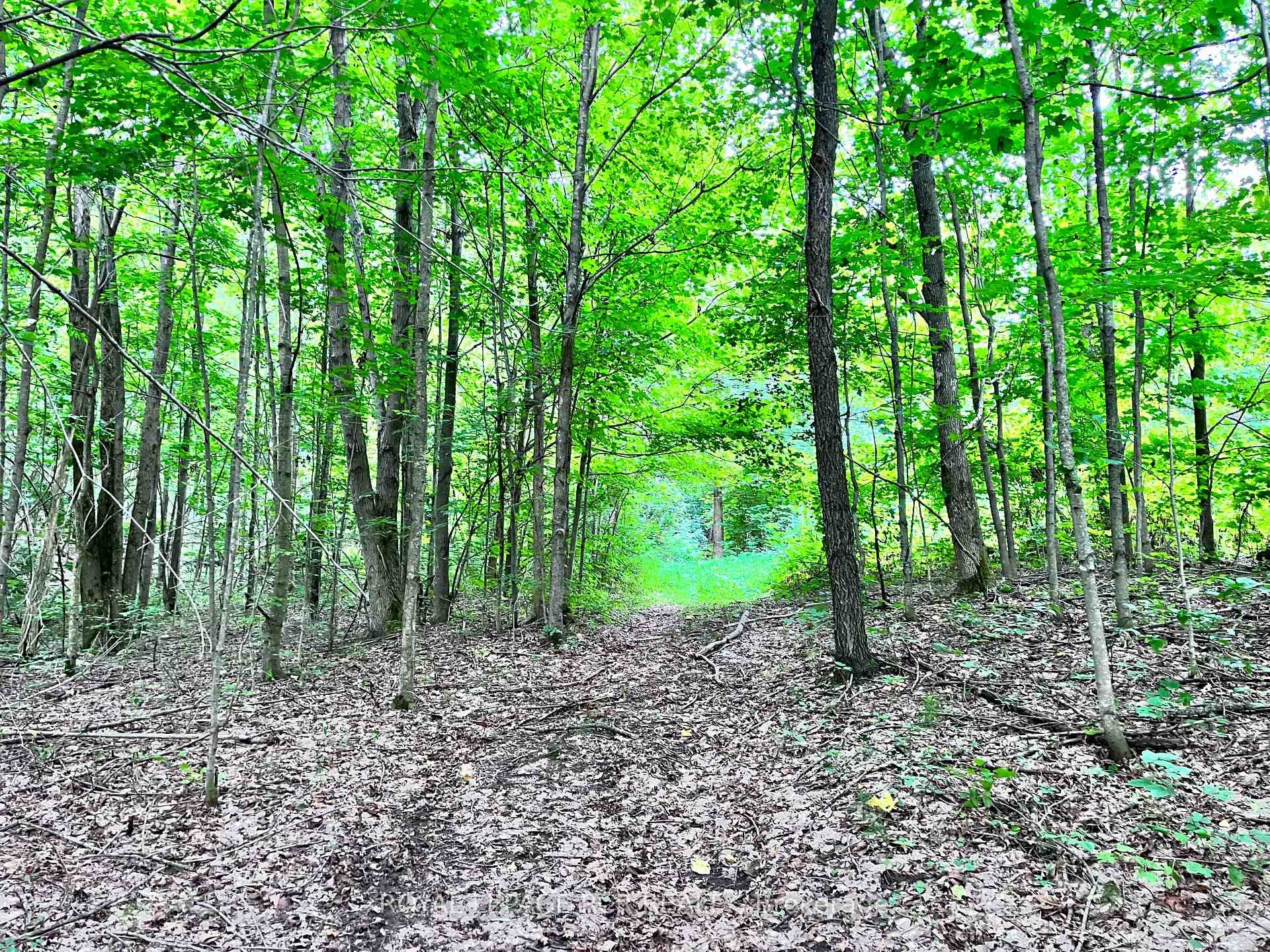 









0


3rd

Line,
Mulmur,







ON
L9V 0J2

