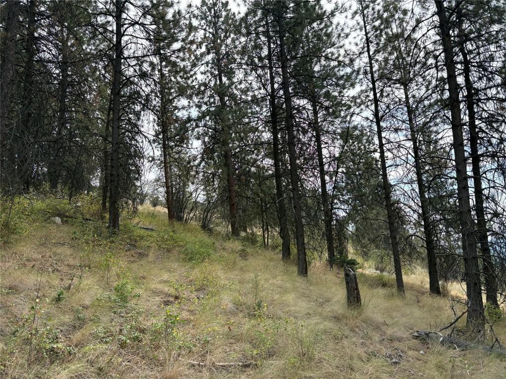 









4491


Hebbert

Road,
Lake Country,




BC
V4V 2A8

